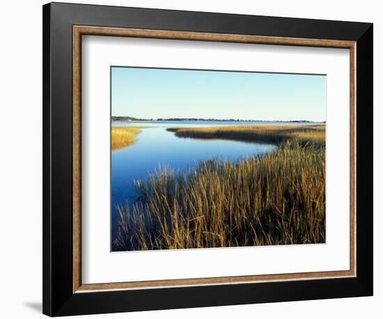 Tidal Creek Empties into Biddeford Pool, Anuszewski Property, Maine, USA-Jerry & Marcy Monkman-Framed Photographic Print