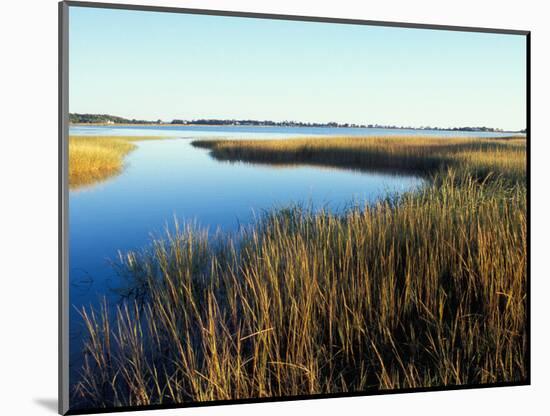 Tidal Creek Empties into Biddeford Pool, Anuszewski Property, Maine, USA-Jerry & Marcy Monkman-Mounted Photographic Print