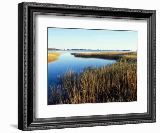 Tidal Creek Empties into Biddeford Pool, Anuszewski Property, Maine, USA-Jerry & Marcy Monkman-Framed Photographic Print