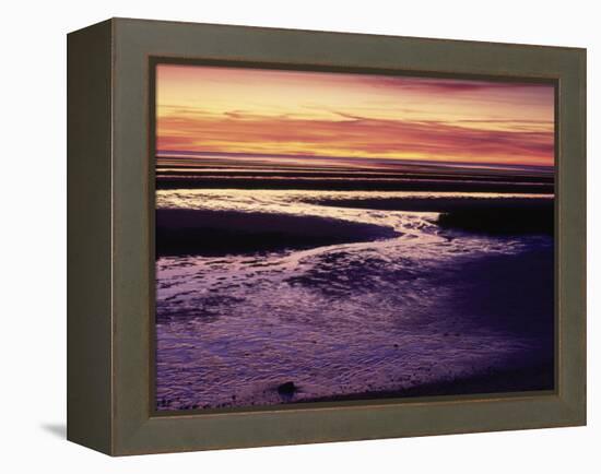 Tidal Flat at Sunset, Cape Cod, MA-Gary D^ Ercole-Framed Premier Image Canvas