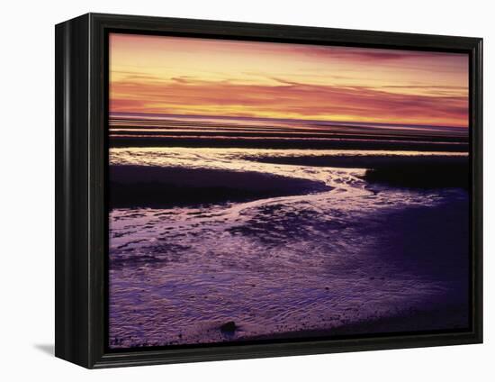 Tidal Flat at Sunset, Cape Cod, MA-Gary D^ Ercole-Framed Premier Image Canvas