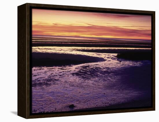 Tidal Flat at Sunset, Cape Cod, MA-Gary D^ Ercole-Framed Premier Image Canvas