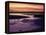 Tidal Flat at Sunset, Cape Cod, MA-Gary D^ Ercole-Framed Premier Image Canvas