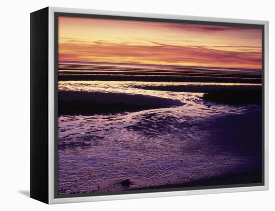 Tidal Flat at Sunset, Cape Cod, MA-Gary D^ Ercole-Framed Premier Image Canvas