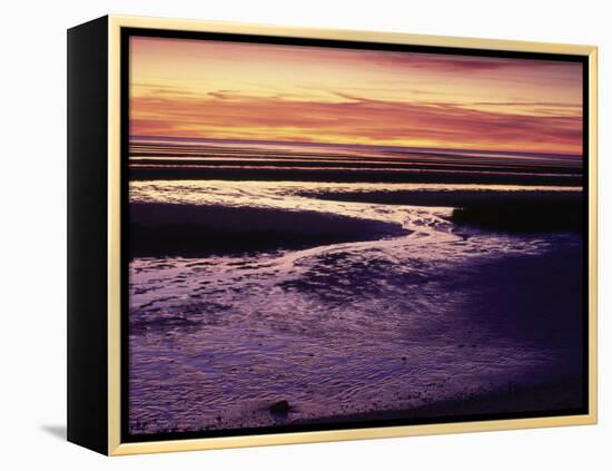 Tidal Flat at Sunset, Cape Cod, MA-Gary D^ Ercole-Framed Premier Image Canvas