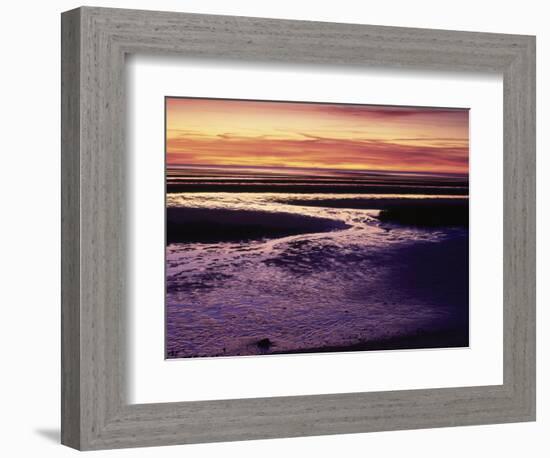 Tidal Flat at Sunset, Cape Cod, MA-Gary D^ Ercole-Framed Photographic Print