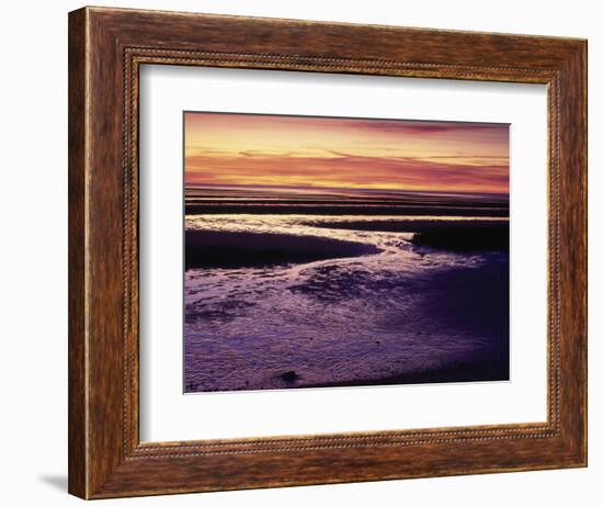 Tidal Flat at Sunset, Cape Cod, MA-Gary D^ Ercole-Framed Photographic Print