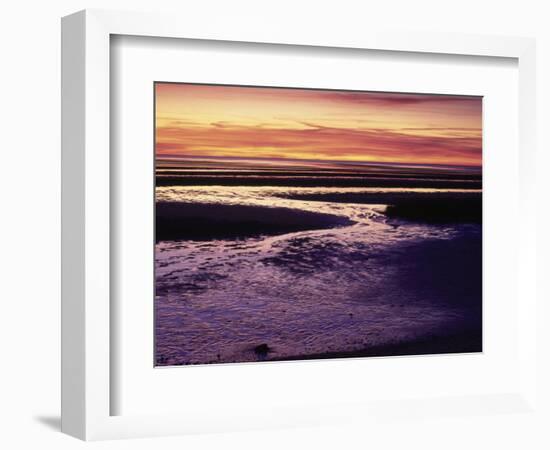 Tidal Flat at Sunset, Cape Cod, MA-Gary D^ Ercole-Framed Photographic Print