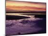 Tidal Flat at Sunset, Cape Cod, MA-Gary D^ Ercole-Mounted Photographic Print