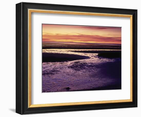 Tidal Flat at Sunset, Cape Cod, MA-Gary D^ Ercole-Framed Photographic Print