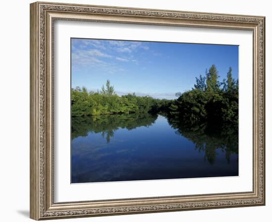 Tidal Lagoons Fringed with Mangroves, Lovers Key SRA, Ft. Meyer's Beach, Florida-Maresa Pryor-Framed Photographic Print