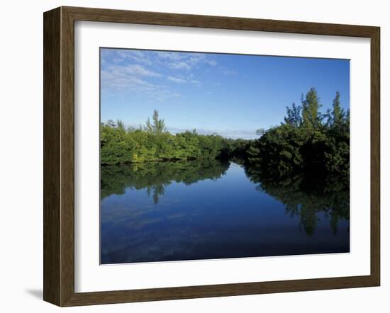 Tidal Lagoons Fringed with Mangroves, Lovers Key SRA, Ft. Meyer's Beach, Florida-Maresa Pryor-Framed Photographic Print