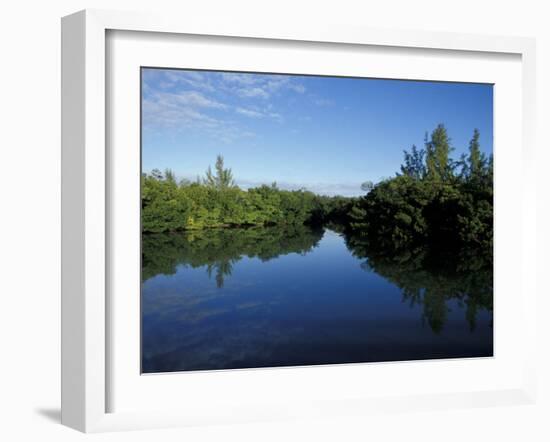 Tidal Lagoons Fringed with Mangroves, Lovers Key SRA, Ft. Meyer's Beach, Florida-Maresa Pryor-Framed Photographic Print