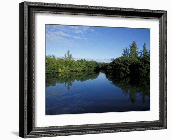 Tidal Lagoons Fringed with Mangroves, Lovers Key SRA, Ft. Meyer's Beach, Florida-Maresa Pryor-Framed Photographic Print