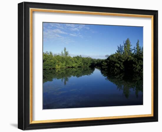 Tidal Lagoons Fringed with Mangroves, Lovers Key SRA, Ft. Meyer's Beach, Florida-Maresa Pryor-Framed Photographic Print