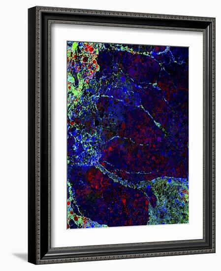 Tidal Pool-MusicDreamerArt-Framed Giclee Print