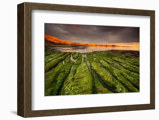 Tide going out, Peninsula Valdes, Argentina-Gabriel Rojo-Framed Photographic Print