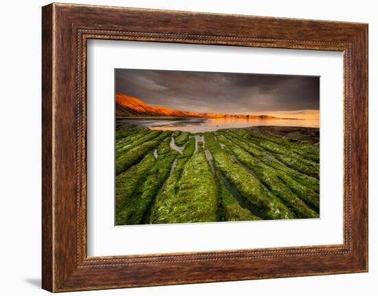 Tide going out, Peninsula Valdes, Argentina-Gabriel Rojo-Framed Photographic Print