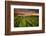 Tide going out, Peninsula Valdes, Argentina-Gabriel Rojo-Framed Photographic Print