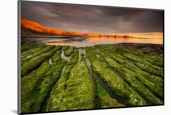 Tide going out, Peninsula Valdes, Argentina-Gabriel Rojo-Mounted Photographic Print