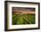 Tide going out, Peninsula Valdes, Argentina-Gabriel Rojo-Framed Photographic Print