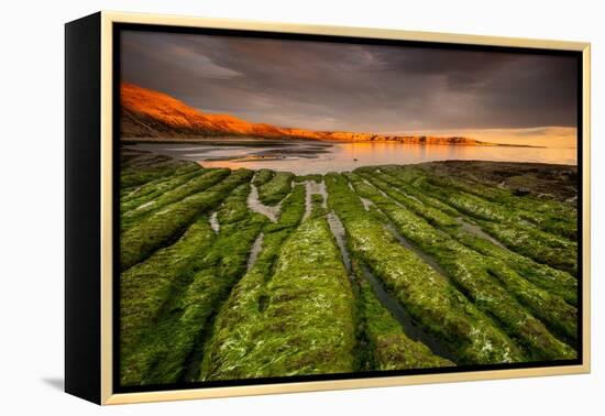 Tide going out, Peninsula Valdes, Argentina-Gabriel Rojo-Framed Premier Image Canvas