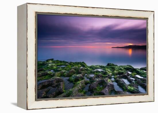 Tide going out, Peninsula Valdes, Argentina-Gabriel Rojo-Framed Premier Image Canvas