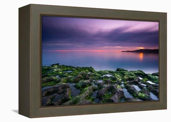 Tide going out, Peninsula Valdes, Argentina-Gabriel Rojo-Framed Premier Image Canvas