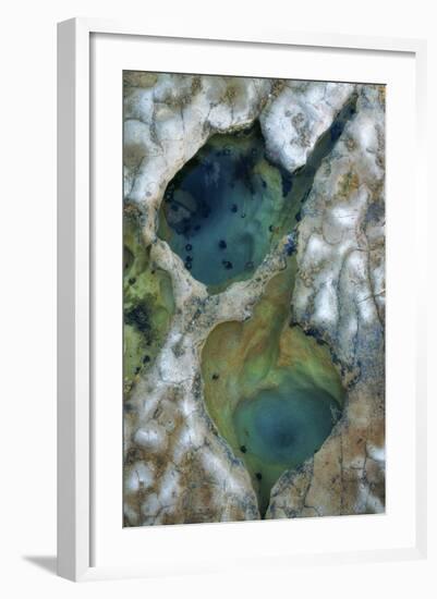 Tide Pool Detail-Vincent James-Framed Photographic Print