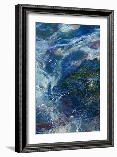 Tide Pool I-Rita Crane-Framed Photographic Print