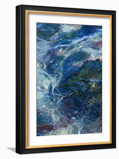 Tide Pool I-Rita Crane-Framed Photographic Print