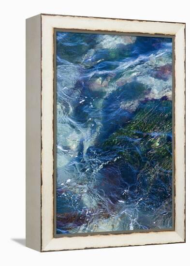 Tide Pool I-Rita Crane-Framed Stretched Canvas