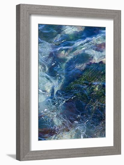 Tide Pool I-Rita Crane-Framed Photo