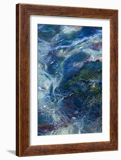 Tide Pool I-Rita Crane-Framed Photo