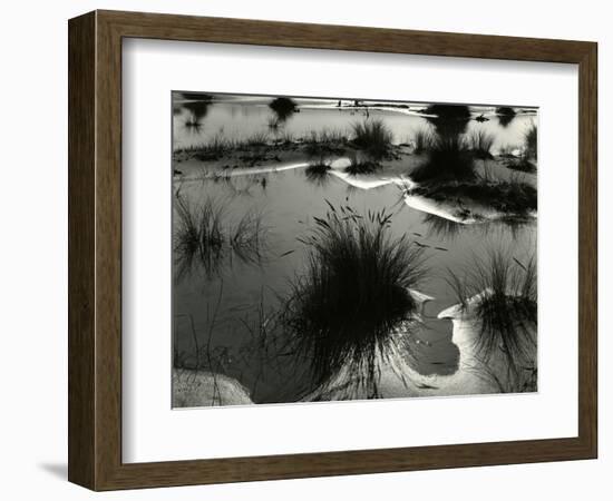 Tide Pool, Oregon, 1970-Brett Weston-Framed Photographic Print