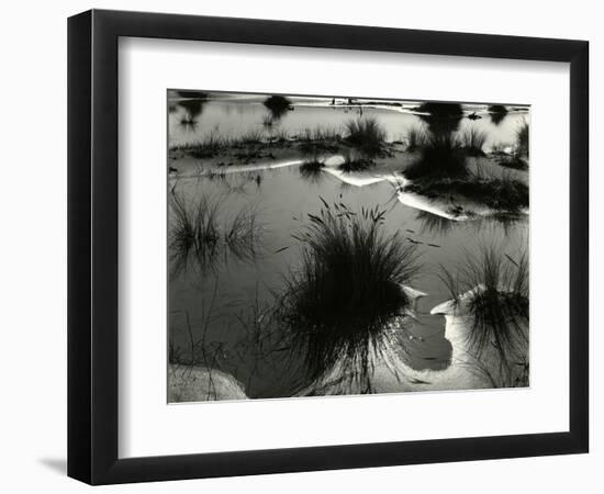 Tide Pool, Oregon, 1970-Brett Weston-Framed Photographic Print