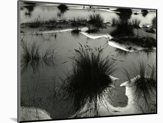 Tide Pool, Oregon, 1970-Brett Weston-Mounted Photographic Print