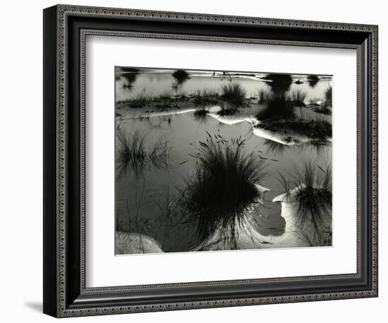 Tide Pool, Oregon, 1970-Brett Weston-Framed Photographic Print