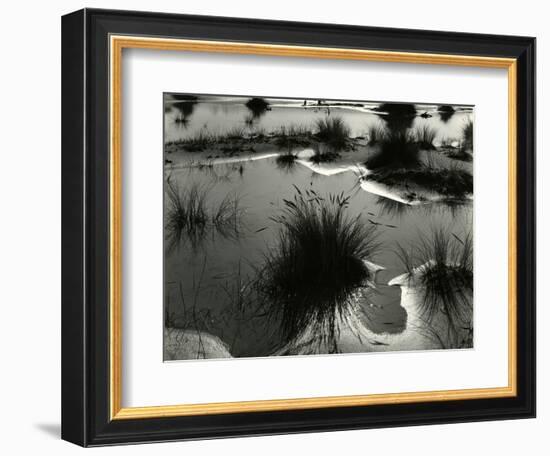 Tide Pool, Oregon, 1970-Brett Weston-Framed Photographic Print