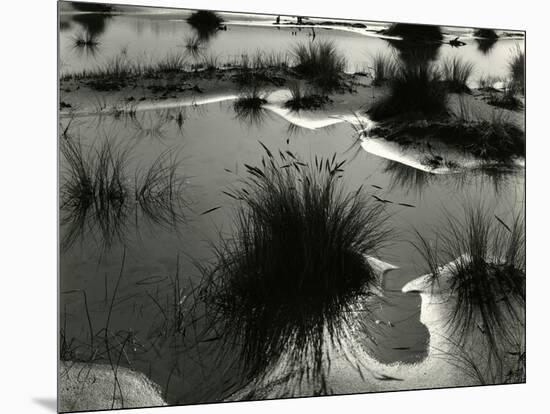 Tide Pool, Oregon, 1970-Brett Weston-Mounted Premium Photographic Print