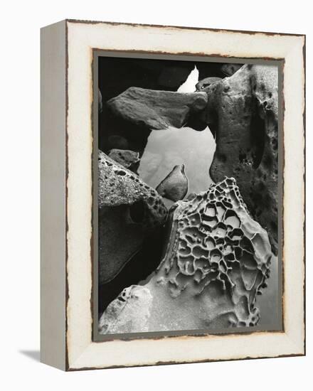 Tide Pool, Point Lobos, 1977 (gelatin silver print)-Brett Weston-Framed Premier Image Canvas