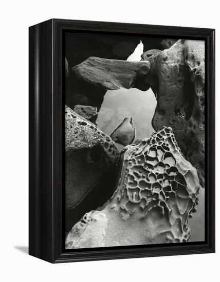 Tide Pool, Point Lobos, 1977 (gelatin silver print)-Brett Weston-Framed Premier Image Canvas