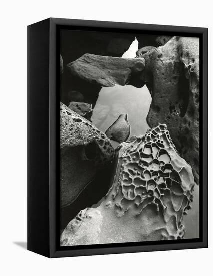 Tide Pool, Point Lobos, 1977 (gelatin silver print)-Brett Weston-Framed Premier Image Canvas