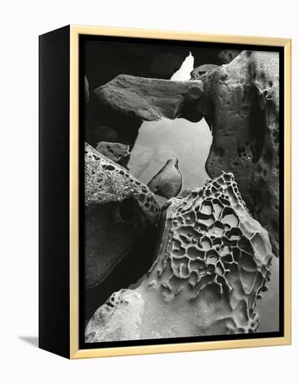 Tide Pool, Point Lobos, 1977 (gelatin silver print)-Brett Weston-Framed Premier Image Canvas