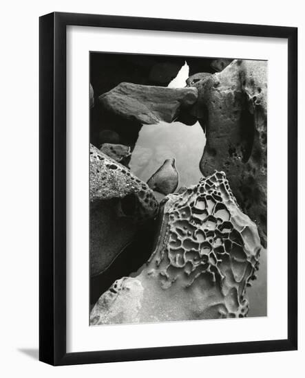 Tide Pool, Point Lobos, 1977 (gelatin silver print)-Brett Weston-Framed Photographic Print