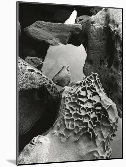 Tide Pool, Point Lobos, 1977 (gelatin silver print)-Brett Weston-Mounted Photographic Print