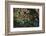 Tide Pool, Salish Sea, Washington State-Ken Archer-Framed Photographic Print