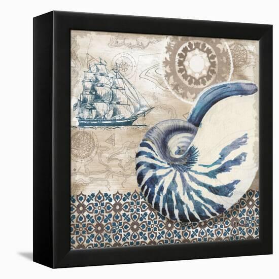 Tide Pool Shells I-Paul Brent-Framed Stretched Canvas