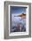 Tide washing over pebbles, Sandymouth bay, Cornwall, UK-Ross Hoddinott-Framed Photographic Print