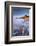 Tide washing over pebbles, Sandymouth bay, Cornwall, UK-Ross Hoddinott-Framed Photographic Print